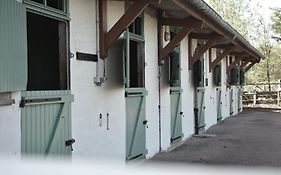Domaine Des Cypres
